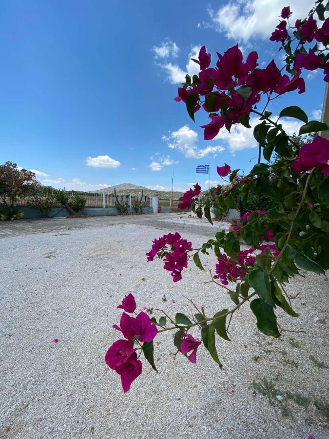 Leonidas Resort แอร์มิโอนี ภายนอก รูปภาพ